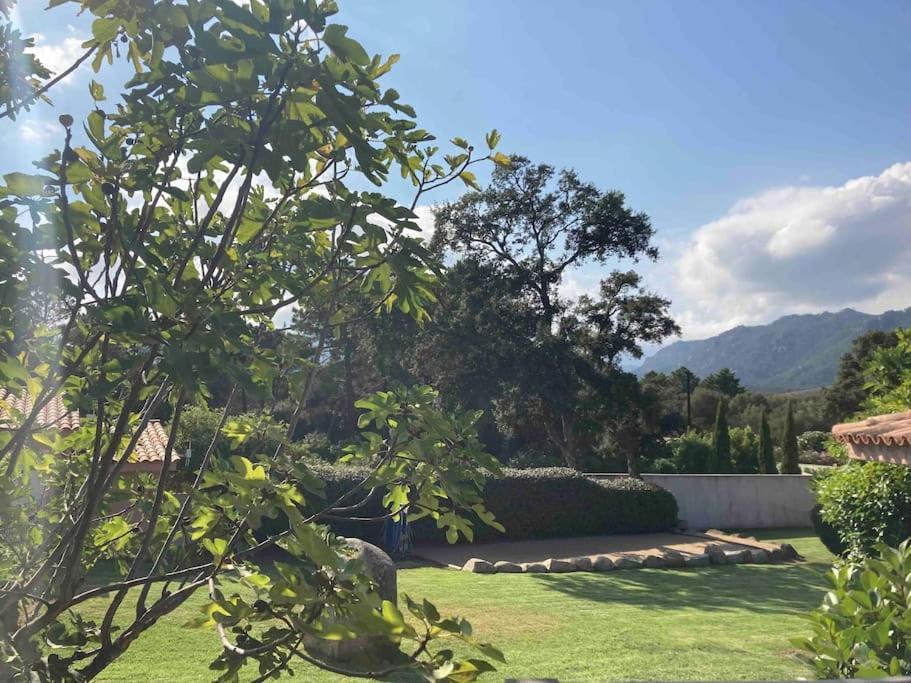 Maison Lucie De Porto-vecchio
